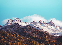 九游体育官网-卡点给几分？大连可为：夏日蝉鸣没有停止，全员开启暖暖一天